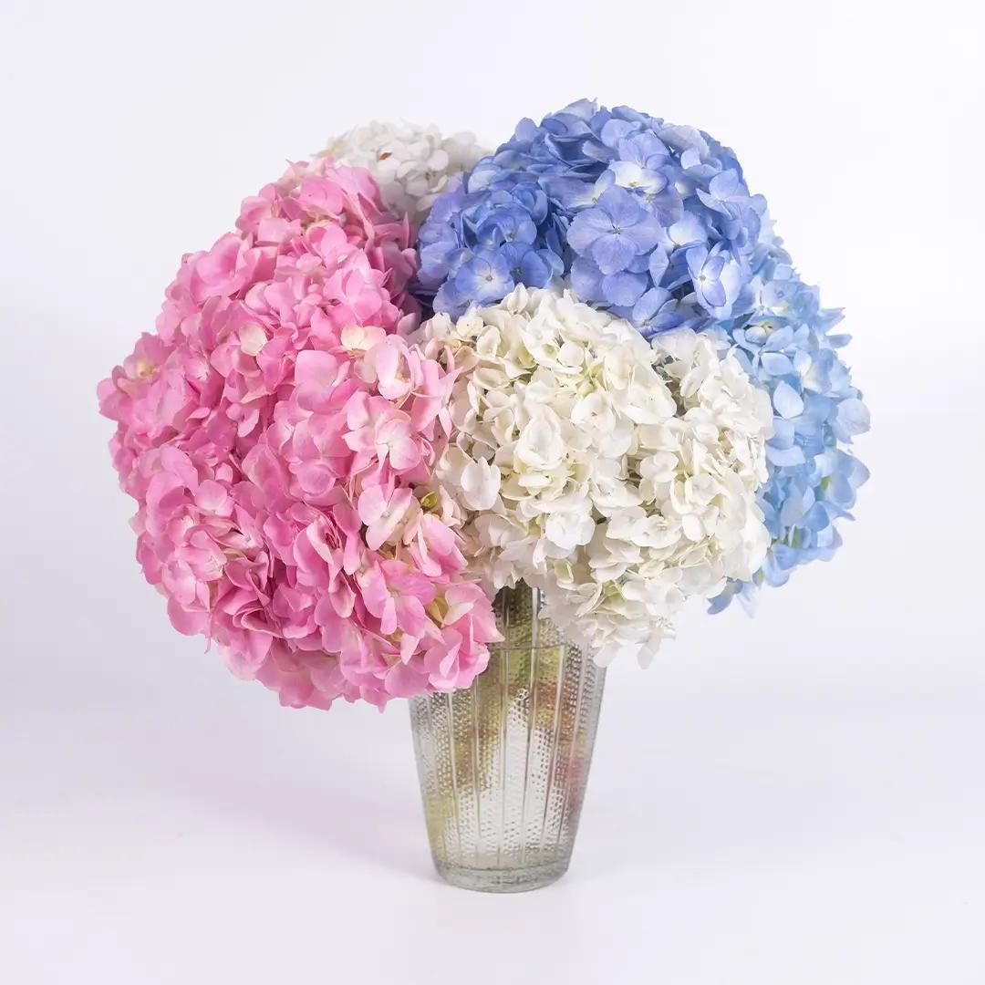 แจกันดอกไฮเดรนเยีย Joyful Morning ประกอบด้วย ไฮเดรนเยียสีขาว ไฮเดรนเยีย สีชมพู ไฮเดรนเยียสีฟ้าเข้ม ไฮเดรนเยียสีฟ้าอ่อน จัดลงในแจกัน
