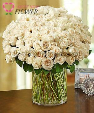 white rose vase