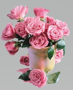 แจกันดอกกุหลาบสีชมพู