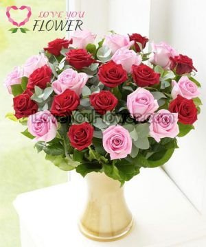 red roses in a vase, pink