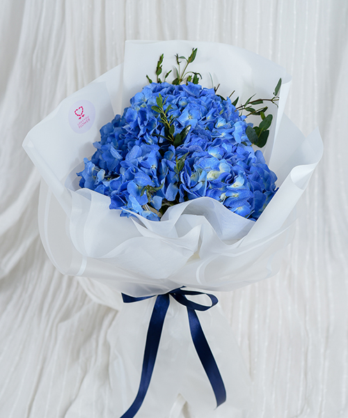 ดอกไฮเดรนเยียสีฟ้า ดอกไม้วันวาเลนไทน์ที่ใคร ๆ ก็เลือก