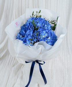 ช่อดอกไฮเดรนเยียสีน้ำเงินสามหัว ห่อด้วยกระดาษสีขาว